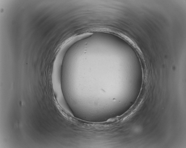 X0000085270905200703231738