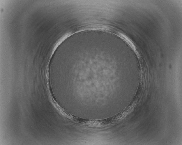 X0000085270907200703231738