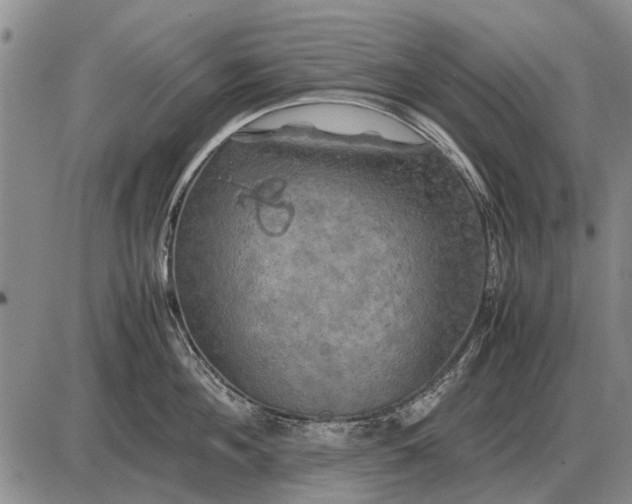 X0000085270908200703231738