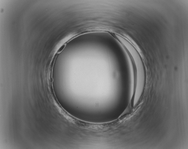 X0000085270909200703231738