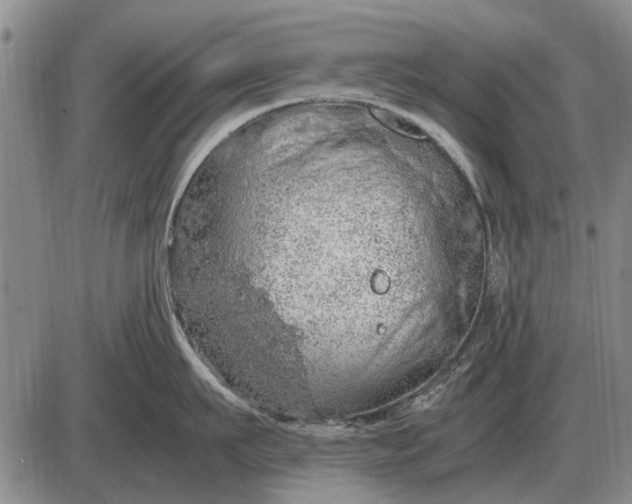 X0000085270911200703231738