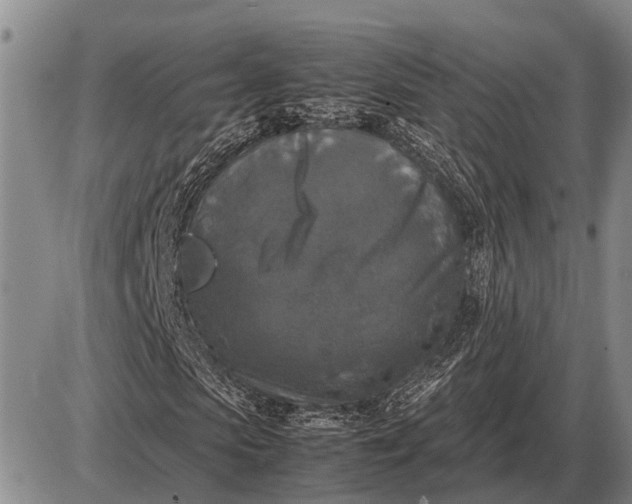 X0000085270913200703231737