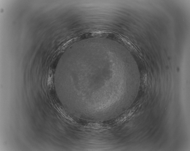 X0000085270914200703231737