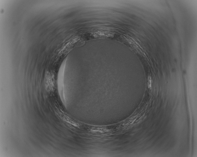 X0000085270915200703231737