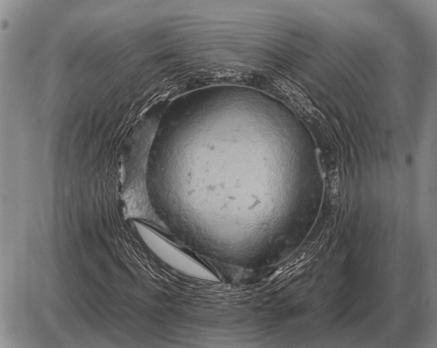 X0000085270916200703231737