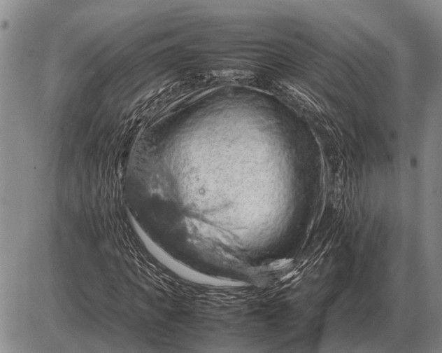 X0000085270917200703231737