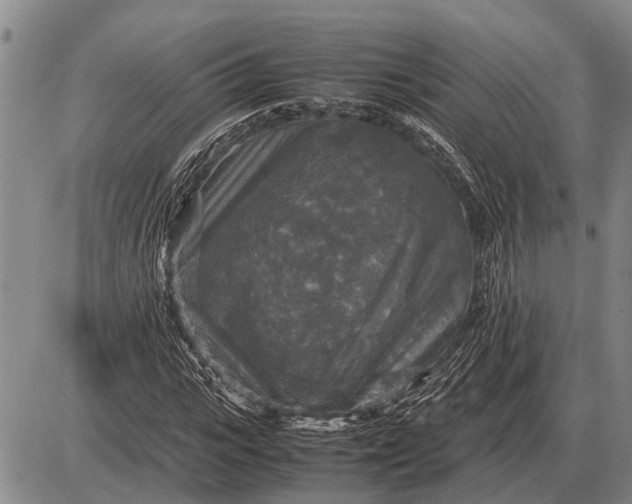 X0000085270919200703231737