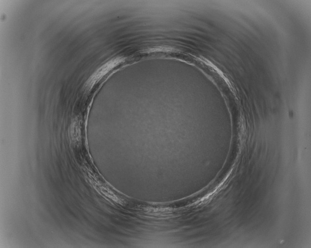 X0000085270921200703231737