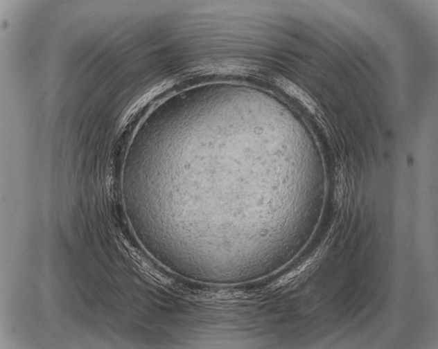 X0000085270922200703231737