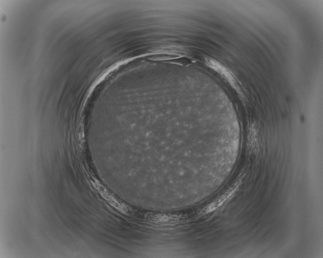 X0000085270923200703231737