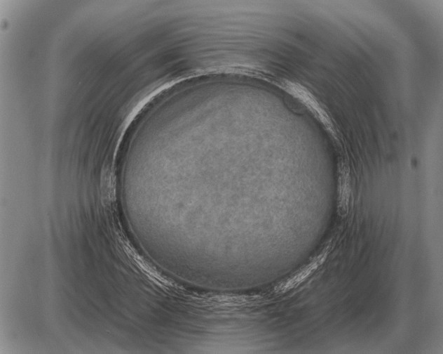 X0000085270924200703231737