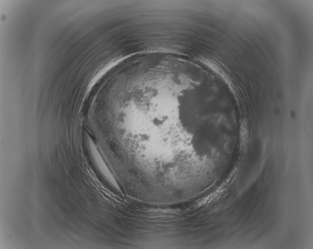 X0000085270925200703231737