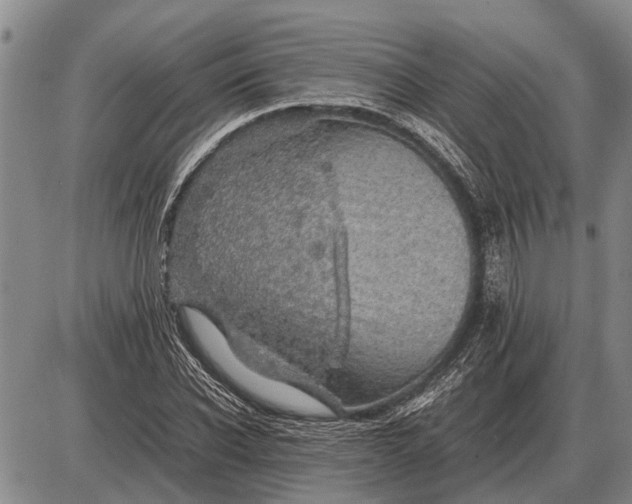 X0000085270926200703231737