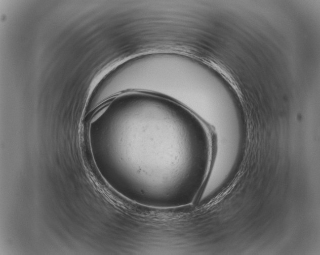 X0000085270928200703231737