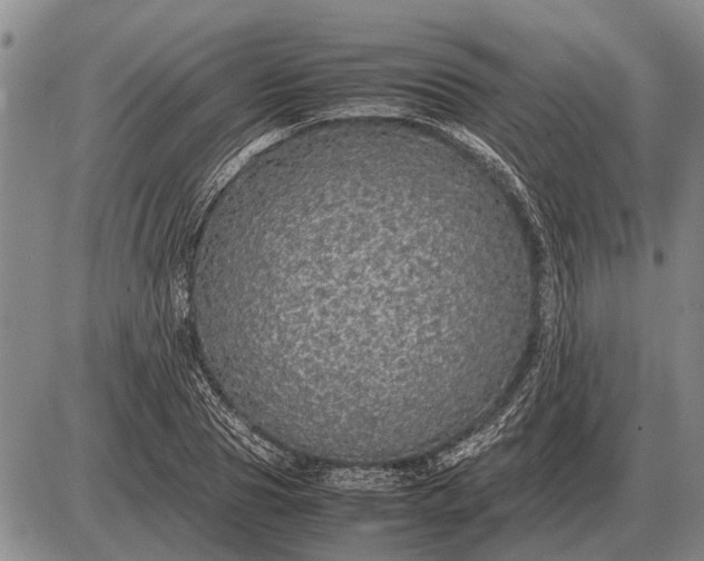 X0000085270929200703231737