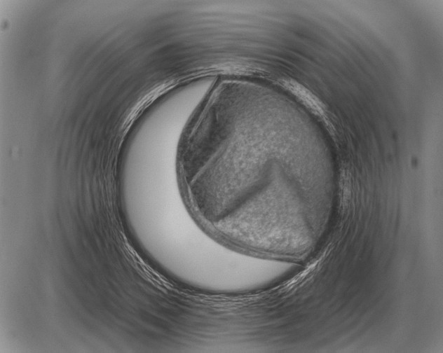 X0000085270930200703231737