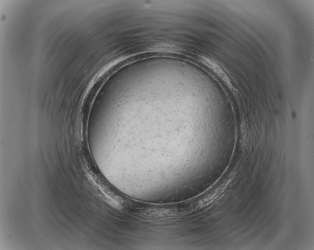 X0000085270931200703231737