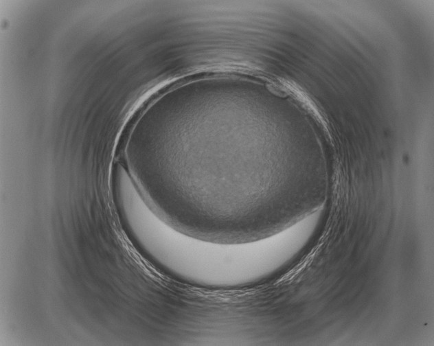 X0000085270932200703231737