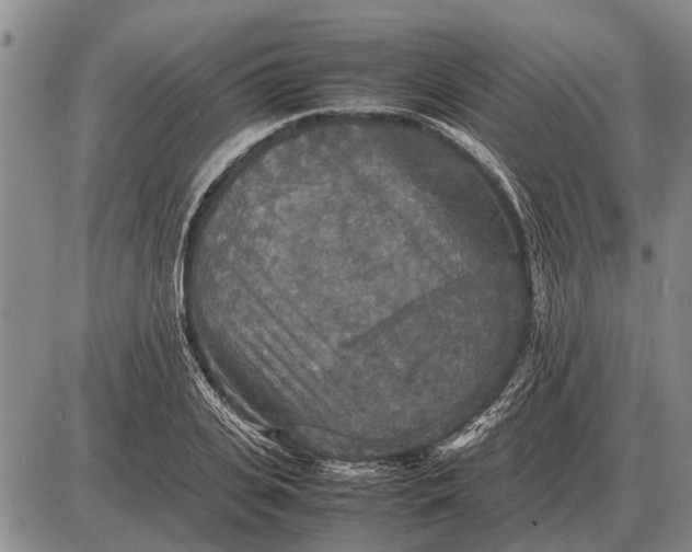 X0000085270935200703231737