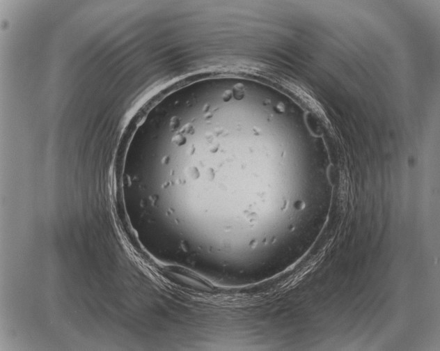 X0000085270936200703231737