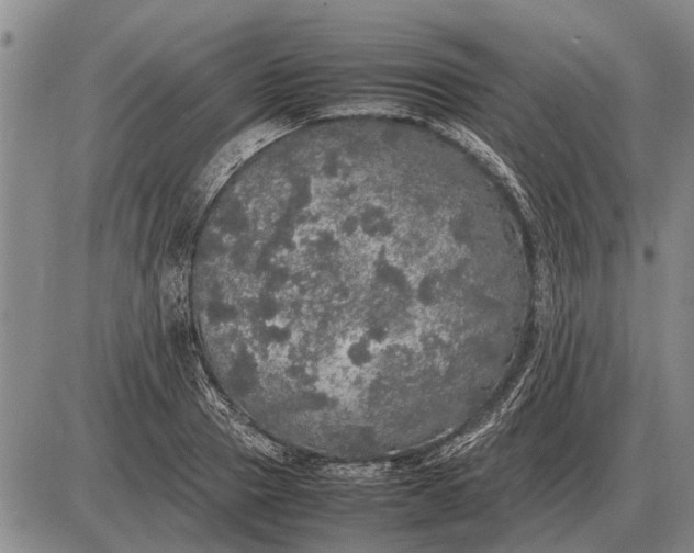 X0000085270937200703231737