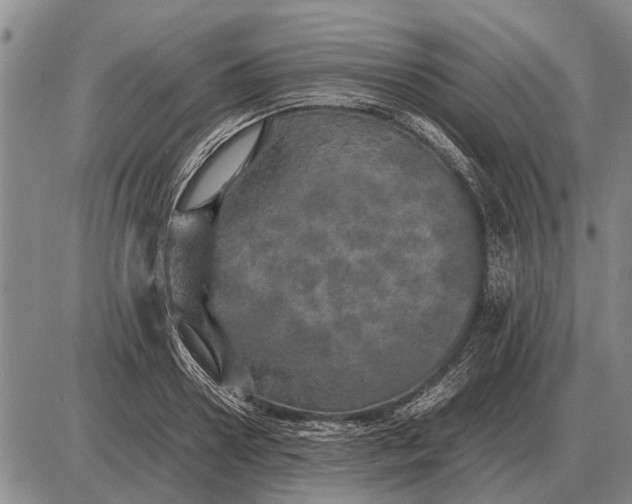 X0000085270938200703231737