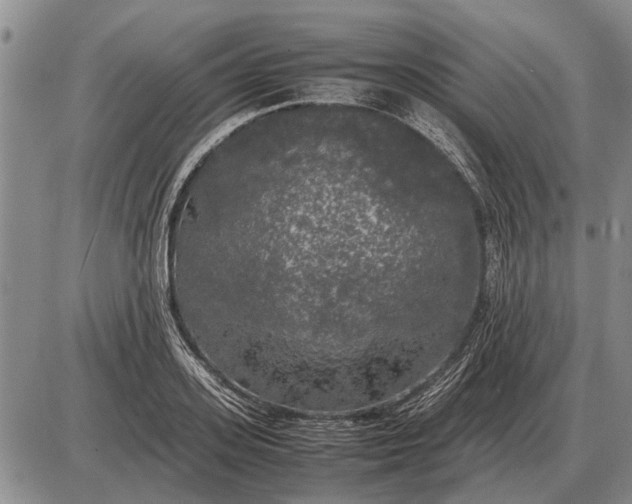 X0000085270939200703231737