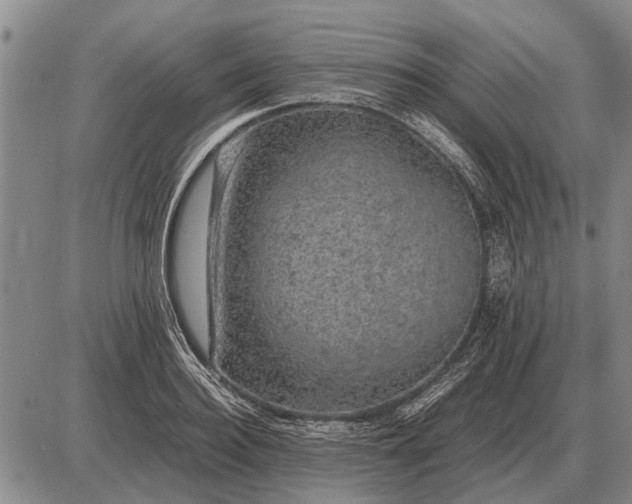 X0000085270940200703231737