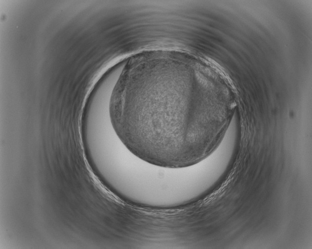 X0000085270942200703231737