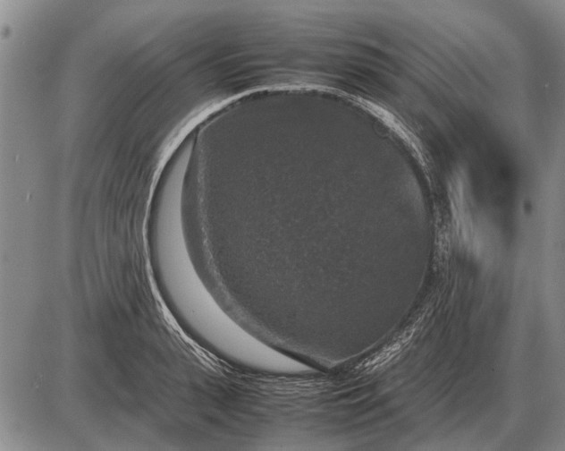 X0000085270943200703231737