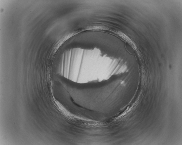 X0000085270945200703231737