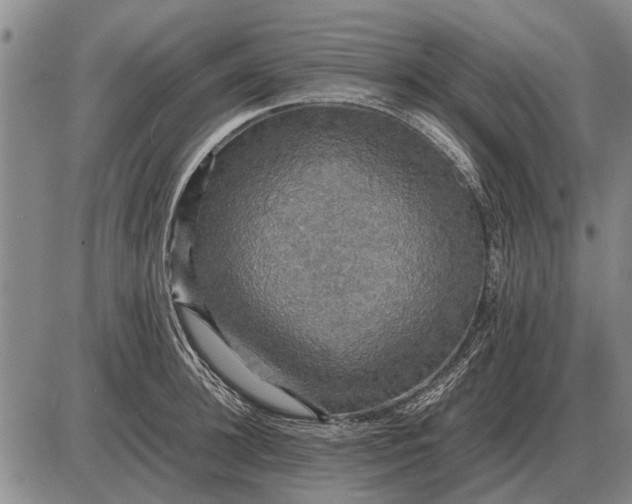 X0000085270948200703231737