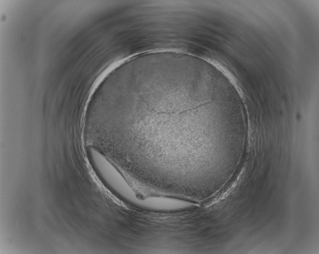 X0000085270949200703231737