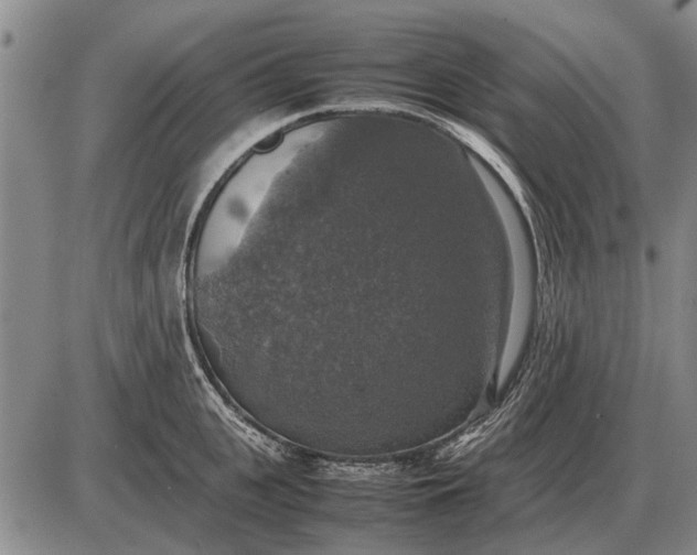 X0000085270951200703231737