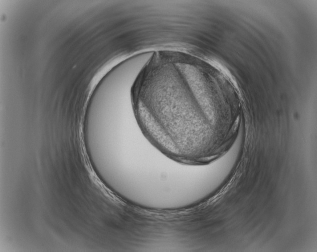 X0000085270952200703231737