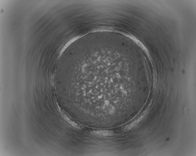 X0000085270953200703231737