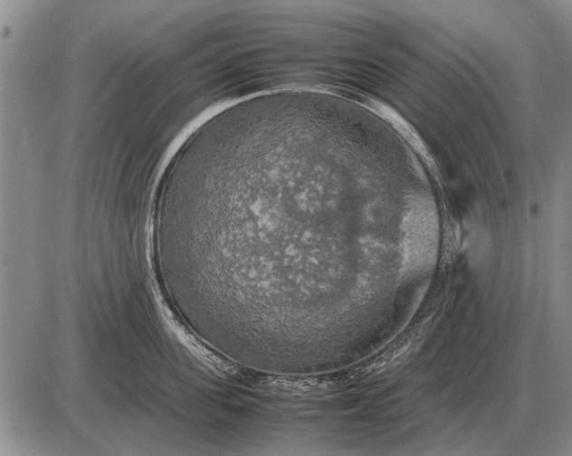 X0000085270955200703231737