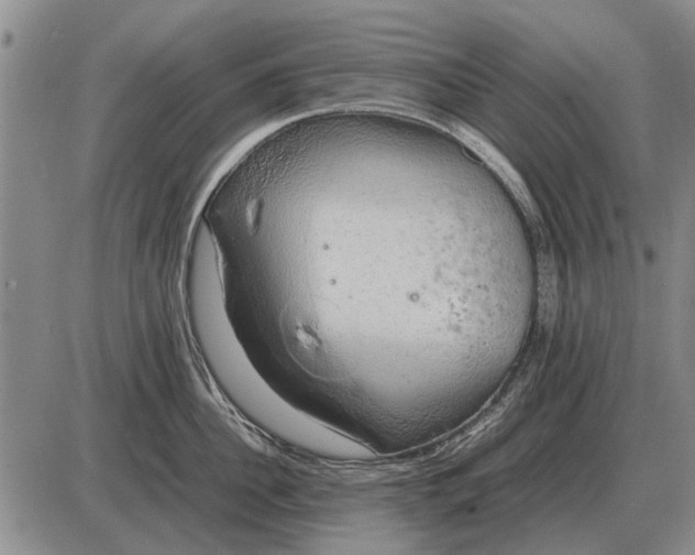 X0000085270956200703231737