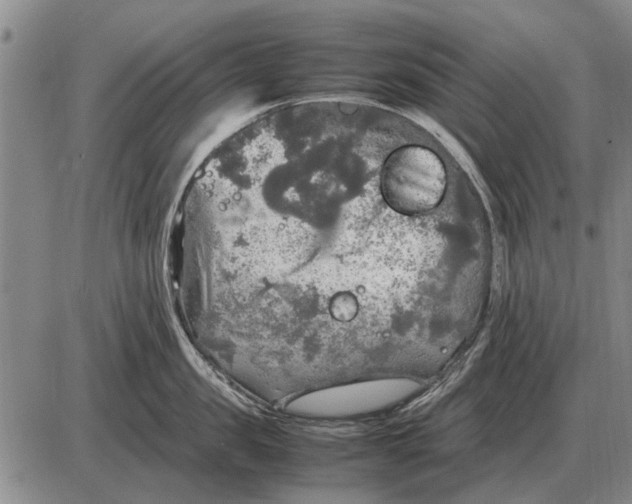 X0000085270957200703231737