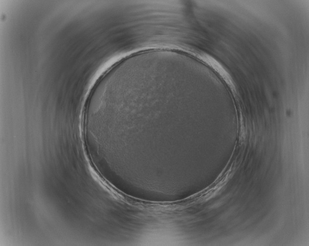 X0000085270958200703231738