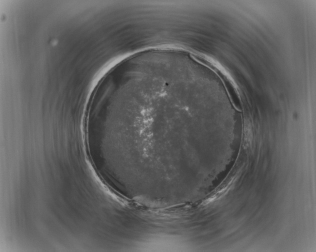 X0000085270959200703231738