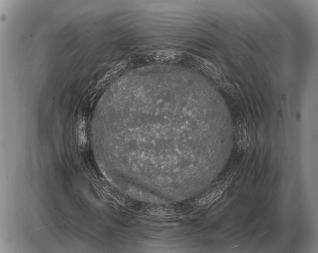 X0000085270962200703231737