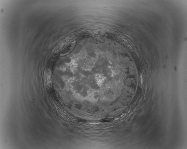 X0000085270963200703231737