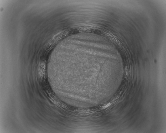 X0000085270964200703231737