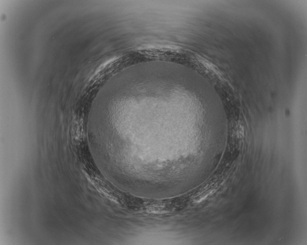 X0000085270965200703231737