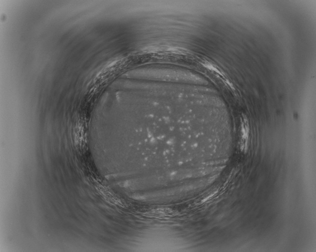 X0000085270966200703231737