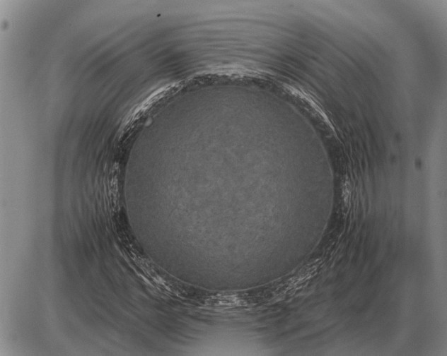 X0000085270968200703231737