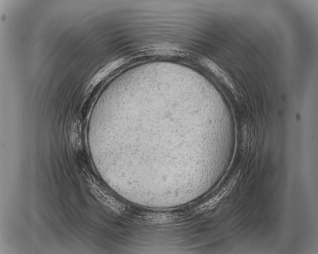 X0000085270970200703231737