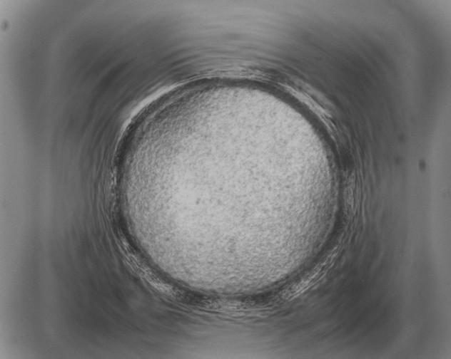 X0000085270971200703231737