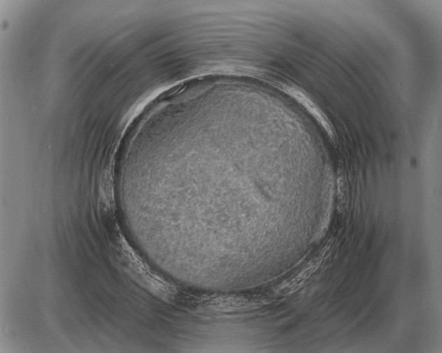 X0000085270972200703231737